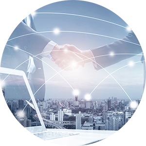 Xiamen Toonney Tungsten Carbide Co., Ltd. 